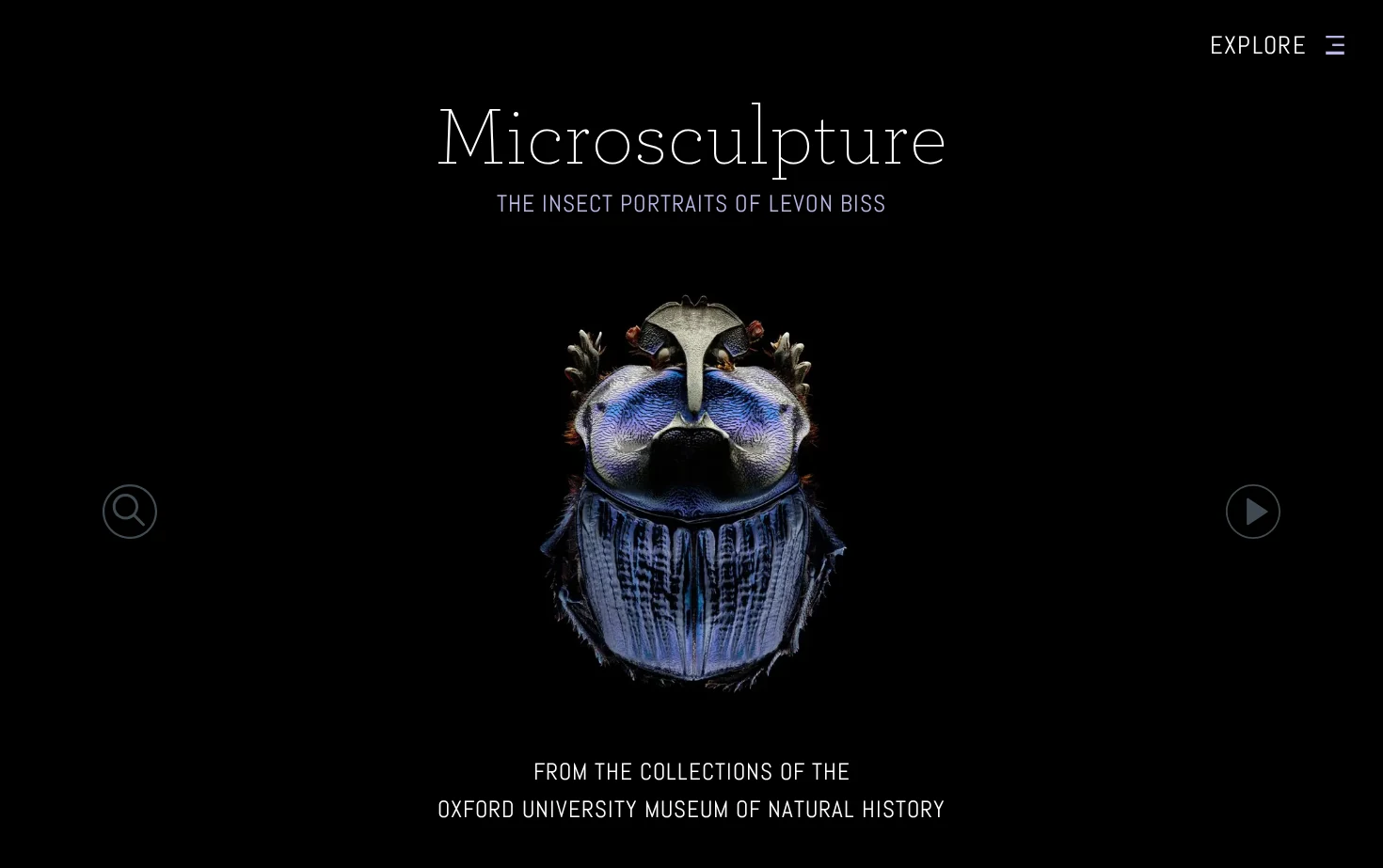 Microsculpture 页面快照
